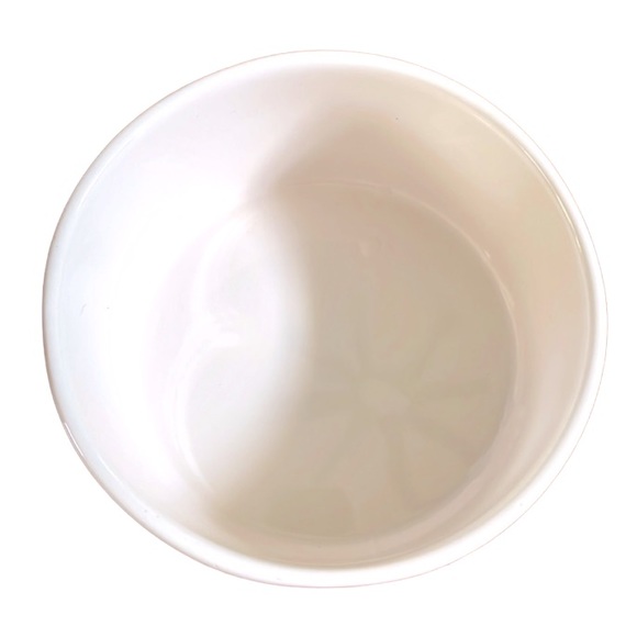 RAE DUNN➕Drink Up Pet Bowl - Picture 3 of 4